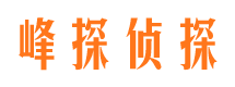 碑林峰探私家侦探公司